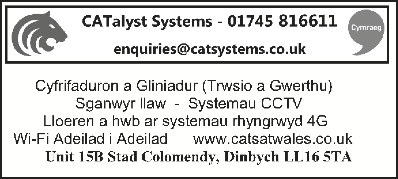 CATalyst.png